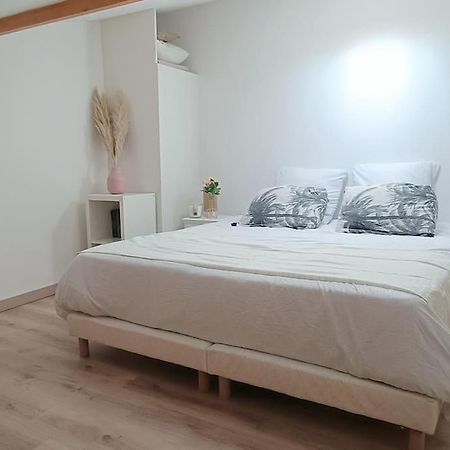 Loft En Centre Ville Perpignan Extérieur photo